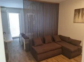 Vilotic group,Apartman 2