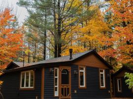 The Doma Lodge - Cozy Muskoka Cabin in the Woods: Huntsville şehrinde bir dağ evi