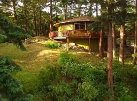 The Island Treehouse, hotel with parking in Eastsound