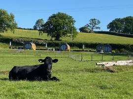 Great House Farm Luxury Pods and Self Catering, campsite in Crickadarn