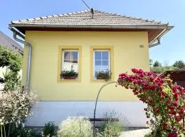 Žltý domček - Apartmán Švábovce