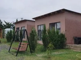 GoldenPirshaghi
