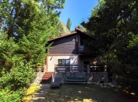 Mountain Family Chalet on Prahova Valley