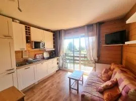 Studio 4/6 pers., Chaillol 1600, proche ski/rando, balcon S/O, TV, lave-vaisselle, animaux ok. - FR-1-393-66
