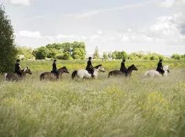 Tihuse Horsefarm B&B