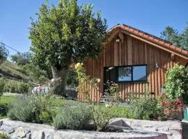 Holzhäuschen mit Pool