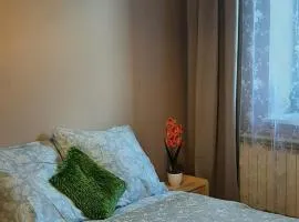 Apartamenty Boa 1km od Energylandii