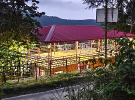 hotel chakrata green and camping、チャクラタのホテル