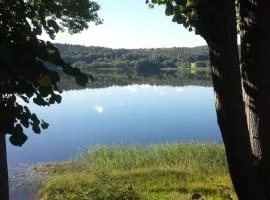 Idyllic lakeside cabin (hytte)