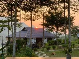 Hồ Tằm Homestay