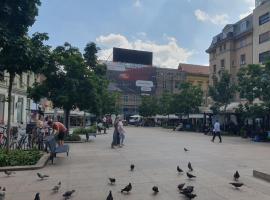 2br condo in the heart of Zagreb, condominio en Zagreb