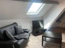 Superbe loft neuf - 1 chambre- face au Château - RIMBAUD