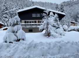 CHALET DES HAUTS SAPINS LA BRESSE