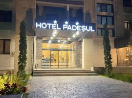 Hotel Padesul, hotel with hot tubs in Făget