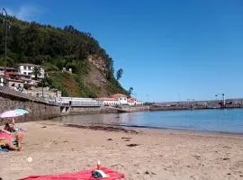 Tazones 79 VUT6993AS