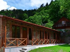 Borjomi Cottages: Borcomi şehrinde bir konukevi