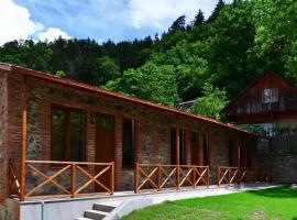 Borjomi Cottages, guest house in Borjomi