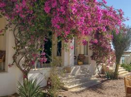 Marine Garden Camp, vandrarhem i Dahab