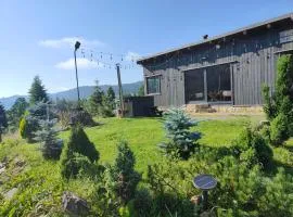 Panoramic Cabin Stânceni