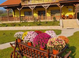Pensiunea La Taica Iacob, hotel with parking in Boholt