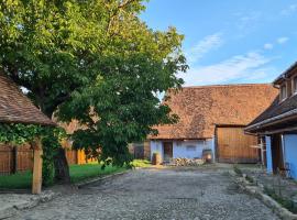 Haus Rether - Transylvanian Guesthouse, hotel v destinaci Buneşti