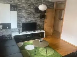 Green apartment in Banja Luka