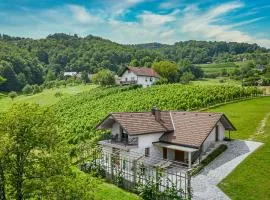Vineyard Cottage Radovlja With Sauna - Happy Rentals