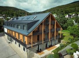 Resort Aurum Residence A, hotel in Cerny Dul