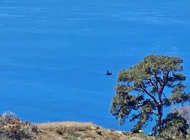 Aprtamento Rural El Pino, apartamento en El Pinar de El Hierro