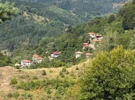 Spring House Изворна Къща