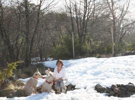 Don Guillermo Cabins, villa in Las Trancas