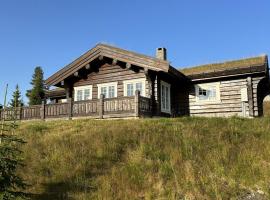 Charming Log Cabin with 3 Bedrooms on Golsfjellet, hotel em Gol