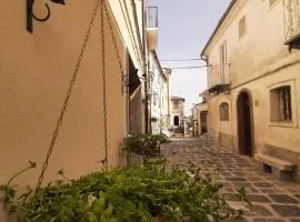 B&B Vivilmatese