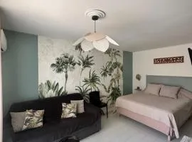 Nouveau le Ti Merveilleux du Manganao, accès plage