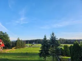 Apartament u Irenki