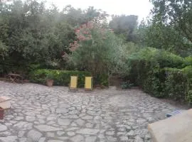 Bilocale a due passi dal mare immerso nel verde