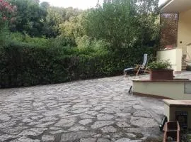 Bilocale a due passi dal mare immerso nel verde