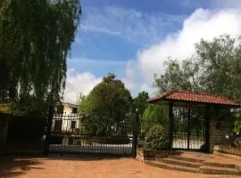 L'albero Del Pepe