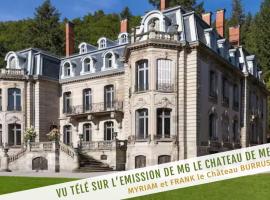 Gîte Verrière Du Château BURRUS, country house in Sainte-Croix-aux-Mines