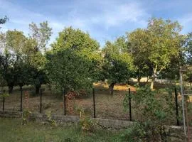 Ninkovic Apartman Free Parking