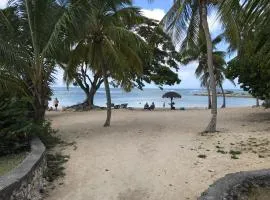 Frangipanier mer et piscine