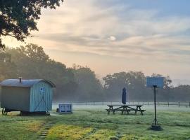 Skylark Shepherds Hut, camping em Royal Tunbridge Wells