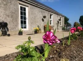 Ballyconnelly Cottages, Galgorm area