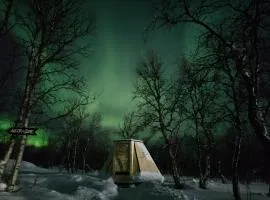 Aurora Wilderness Cones