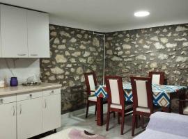 Apartments Janiki, hotel in Kruševo