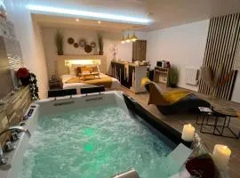 Studio Design Cocon SPA privé à deux pas de Lille