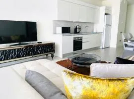 Luxury House Ankara