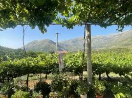 Apartament Dukat Albania