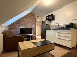 Le studio du square: beauval, apartman Romorantinban