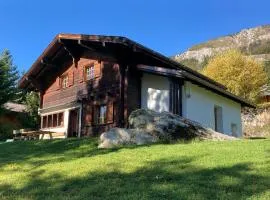 Chalet près des bisses